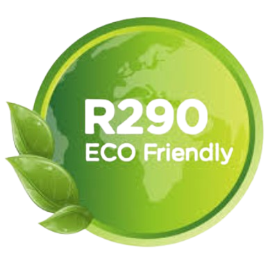 r290-removebg-preview